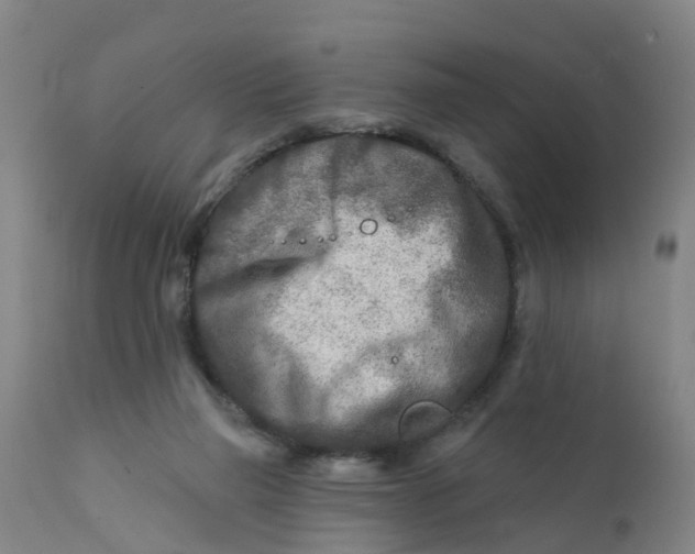 X0000111790165200908131421