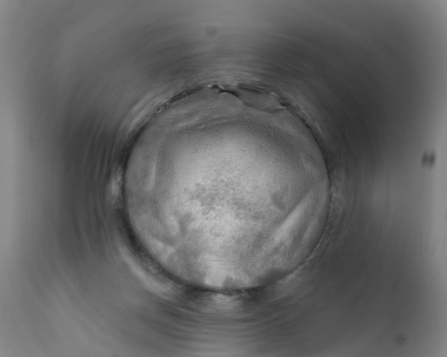 X0000111790166200908131421