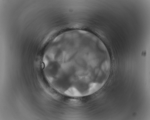 X0000111790167200908131421