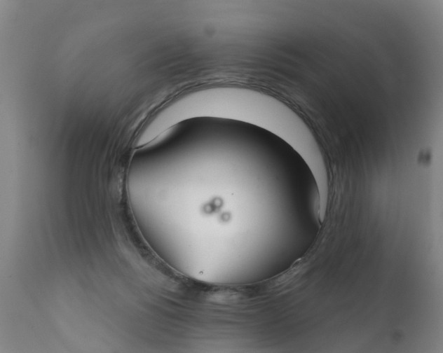 X0000111790168200908131421