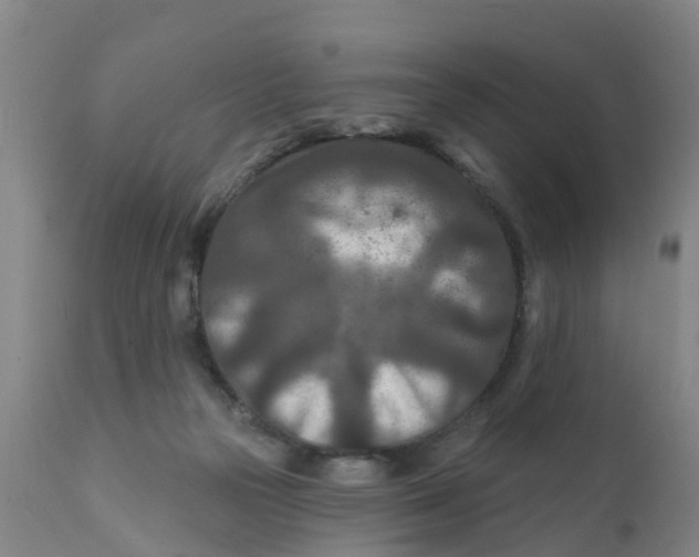 X0000111790169200908131421