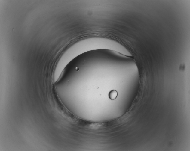 X0000111790172200908131421