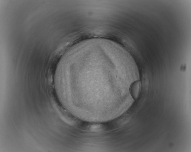 X0000111790173200908131421