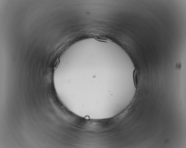 X0000111790174200908131421