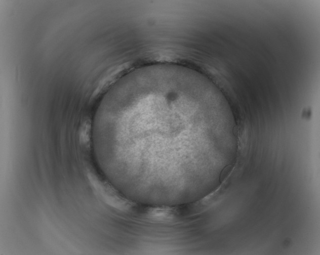 X0000111790175200908131421