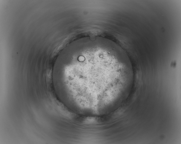 X0000111790177200908131421