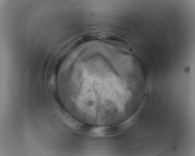 X0000111790178200908131421