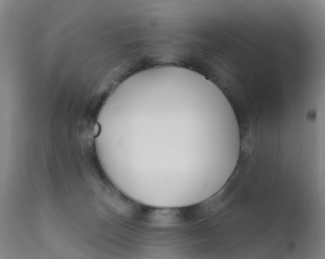 X0000111790179200908131421