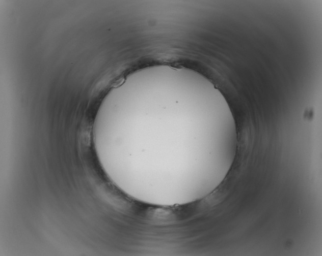 X0000111790180200908131421