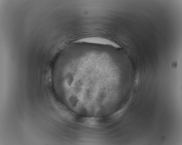 X0000111790182200908131421