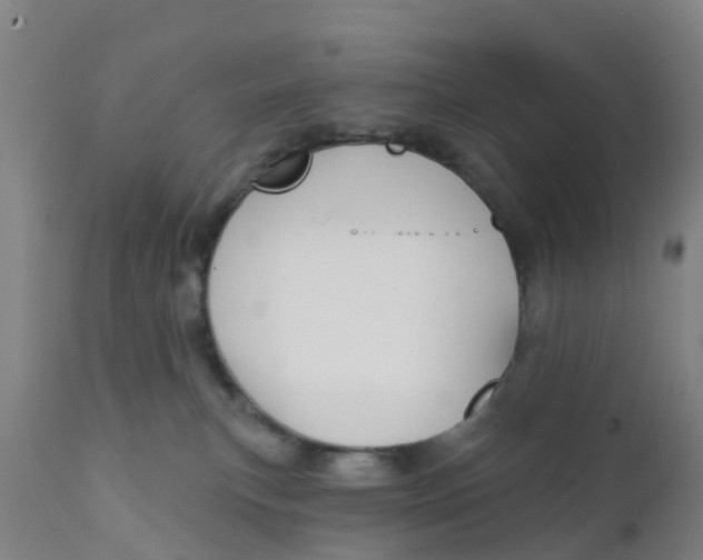 X0000111790183200908131421