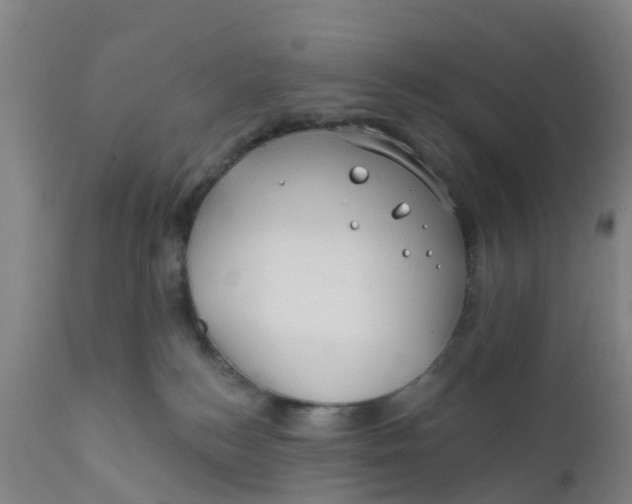 X0000111790184200908131421