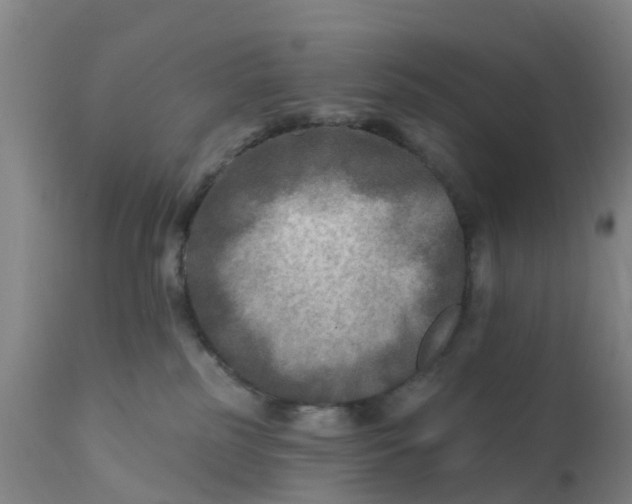 X0000111790185200908131421