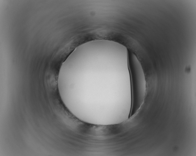 X0000111790186200908131421