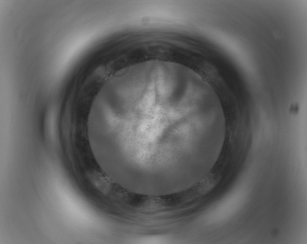 X0000111790189200908131421