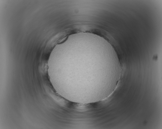 X0000111790191200908131421