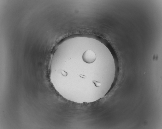 X0000111790192200908131421