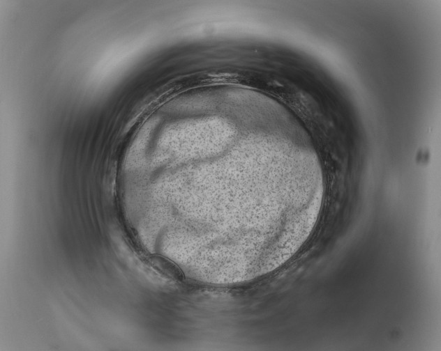 X0000111790194200908131420