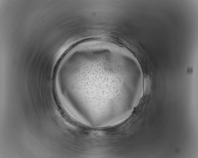 X0000111790195200908131420