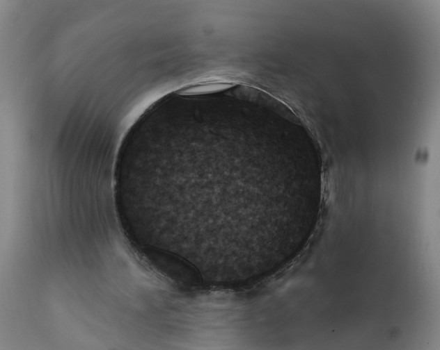 X0000111790196200908131420