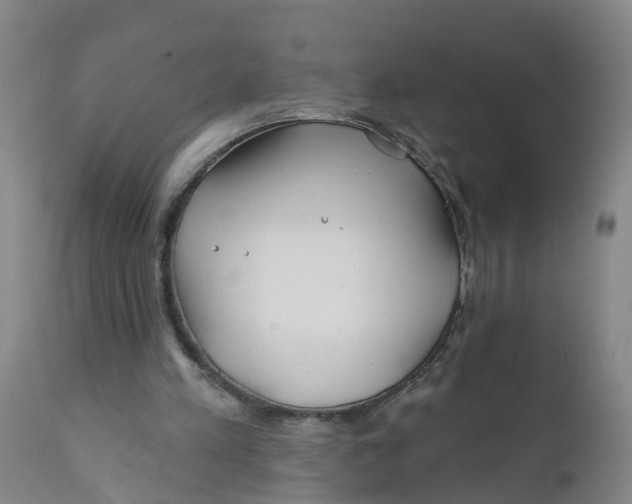 X0000111790197200908131420