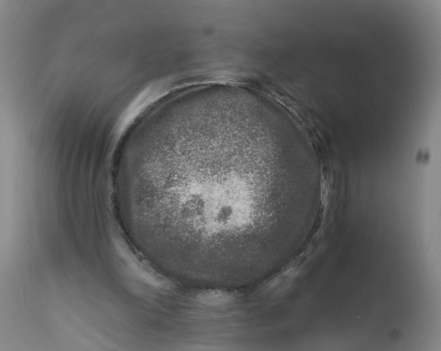 X0000111790198200908131420