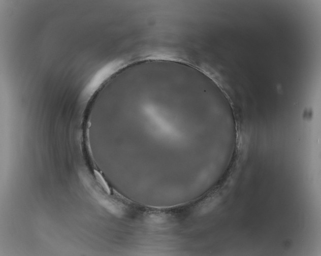 X0000111790199200908131420