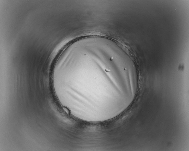 X0000111790200200908131420