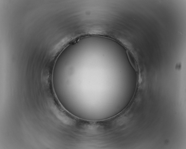 X0000111790201200908131420