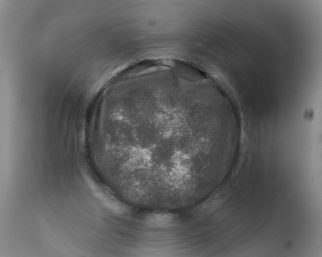 X0000111790202200908131420