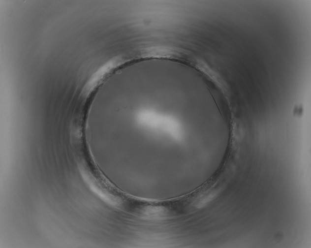 X0000111790203200908131420