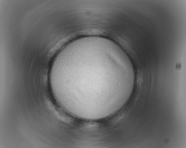 X0000111790206200908131420