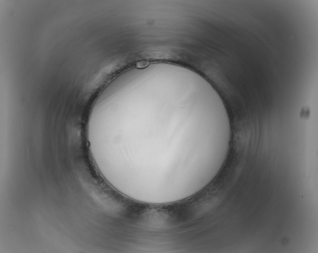 X0000111790207200908131420