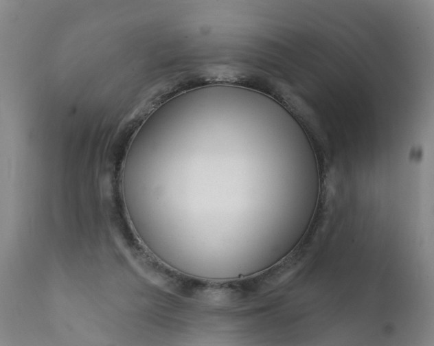 X0000111790209200908131420