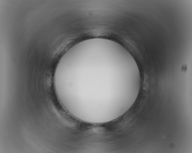 X0000111790210200908131420