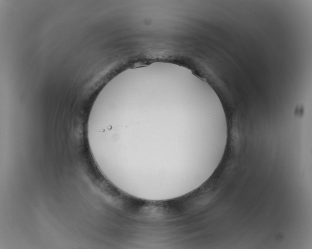 X0000111790211200908131420