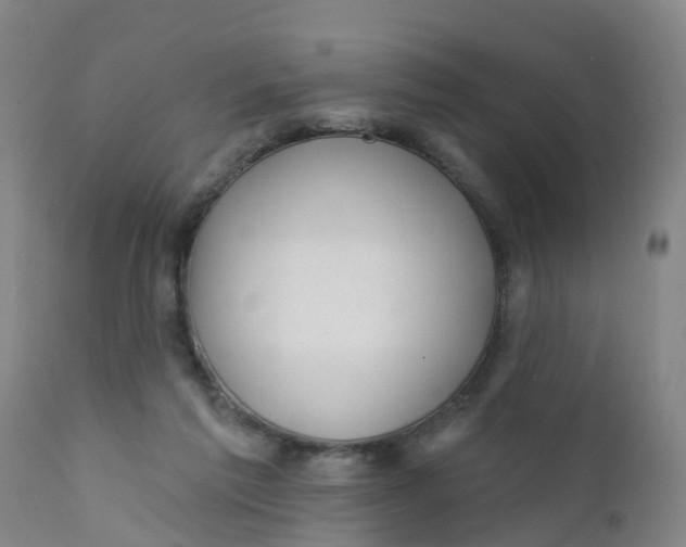 X0000111790213200908131420