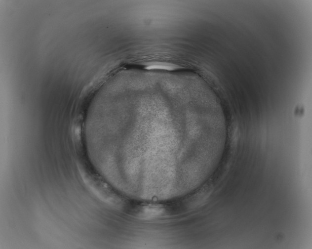 X0000111790214200908131420