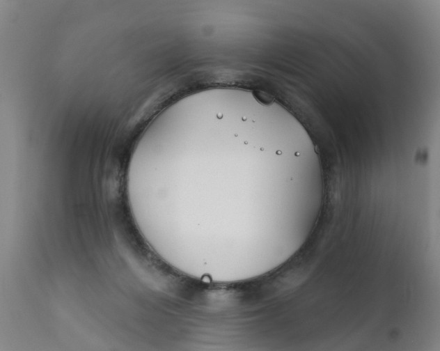 X0000111790216200908131420