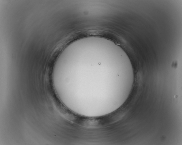 X0000111790217200908131420