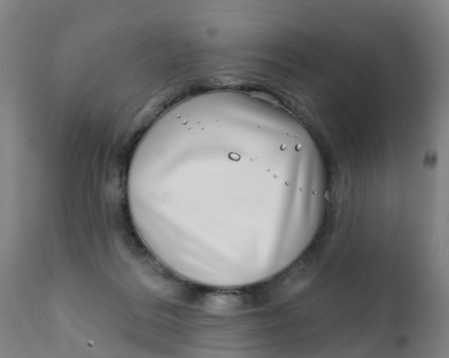 X0000111790220200908131420