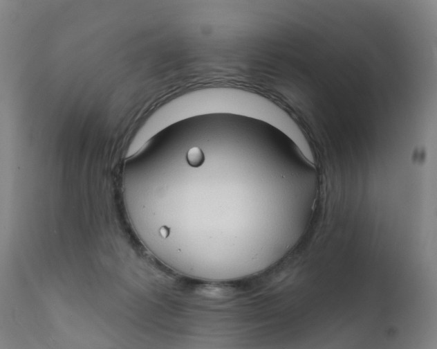 X0000111790221200908131420