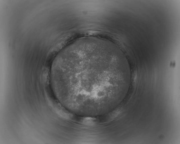 X0000111790222200908131420