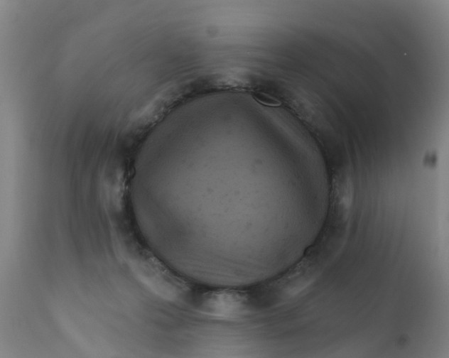 X0000111790223200908131420