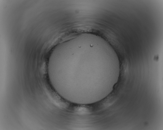 X0000111790224200908131420