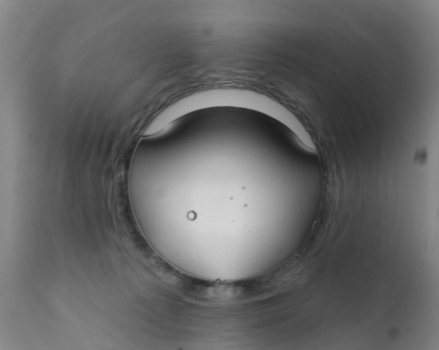 X0000111790225200908131420