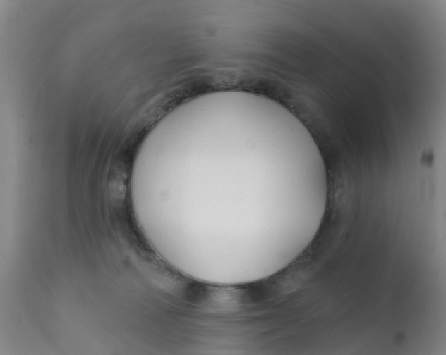 X0000111790226200908131420