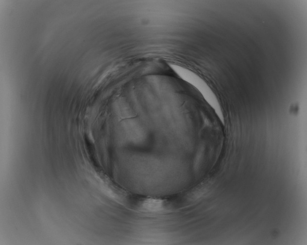 X0000111790227200908131420