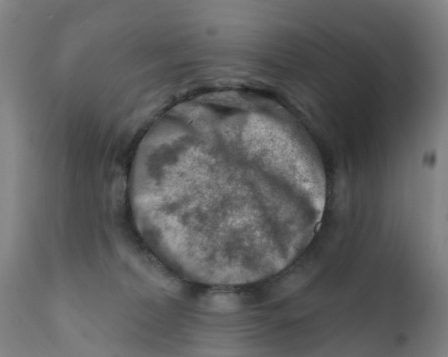 X0000111790228200908131420