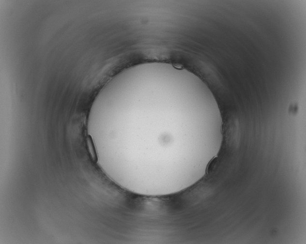 X0000111790229200908131420